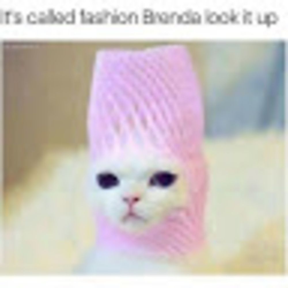 Meet your Posher, Gina